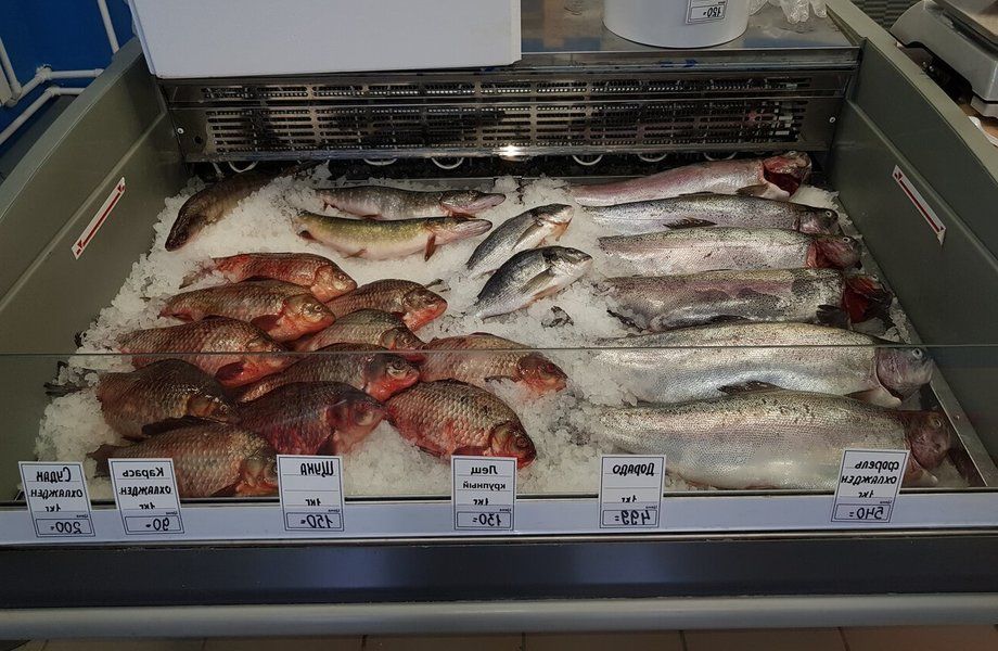 Магазин морепродуктов в престижном районе с высокой посещаемостью