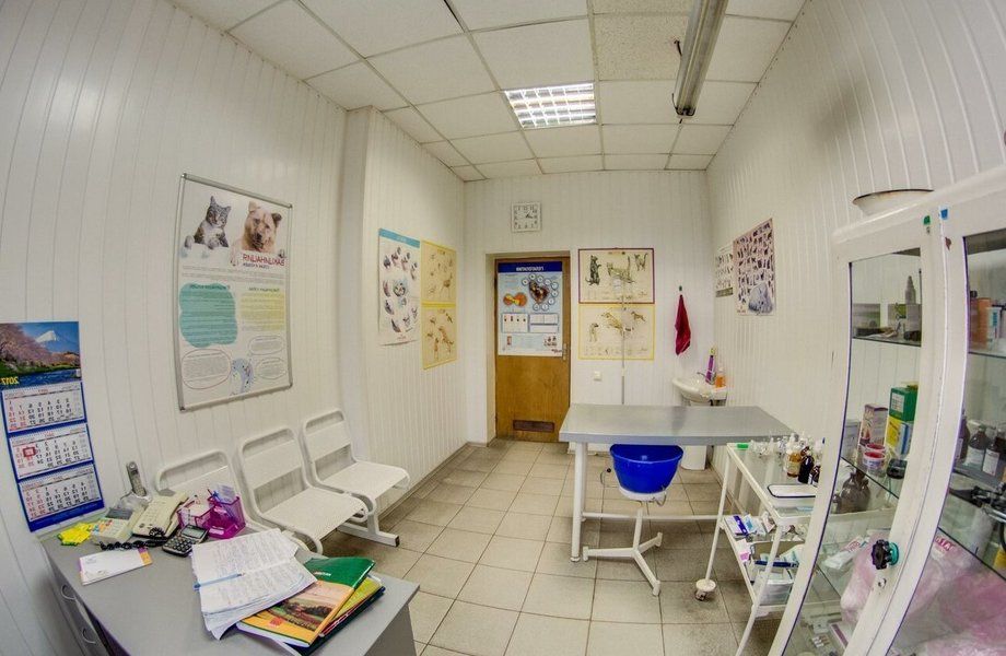 Ветеринарная клиника в Приморском районе / Бизнесу 13 лет
