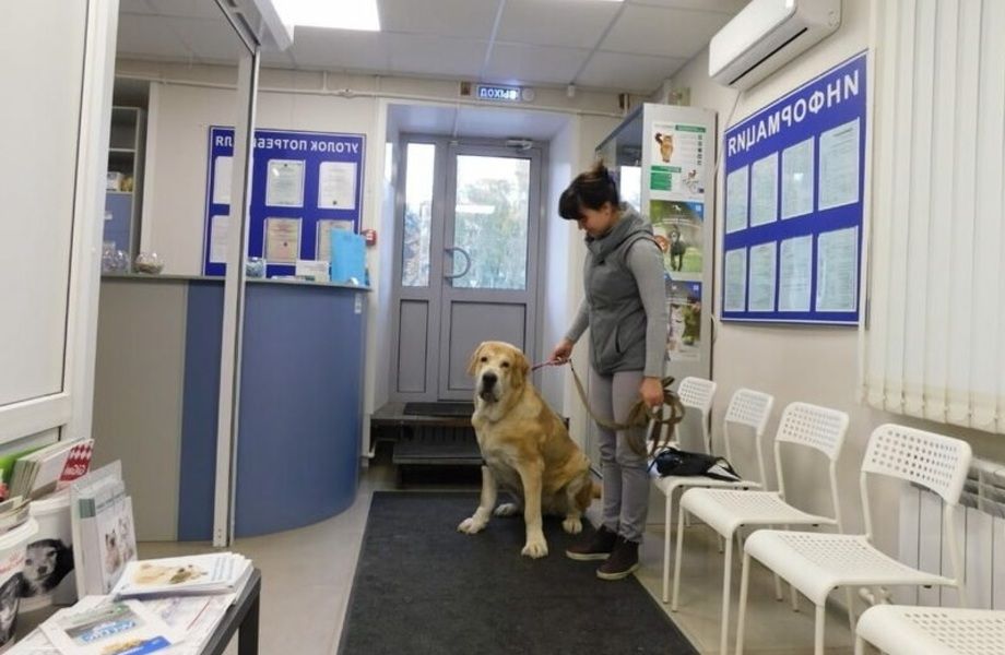 Ветеринарная клиника со всеми лицензиями 