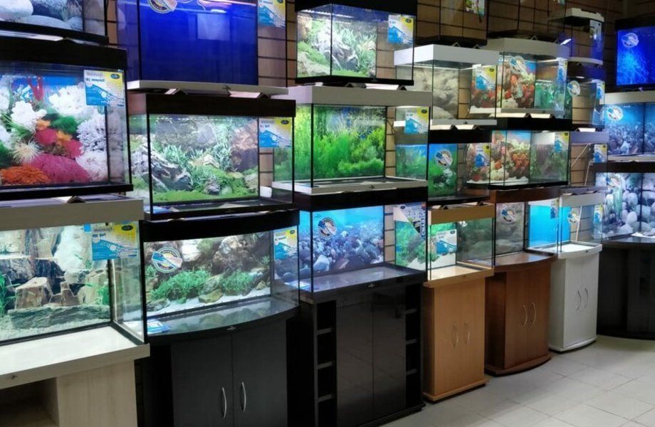 Магазин по продаже аквариумов и сопутствующих товаров