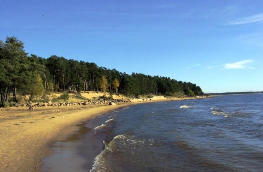 Zemljište na obali Finskog zaljeva 