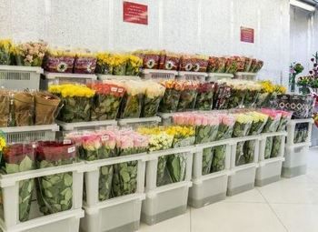 Цветочный магазин со стабильной выручкой 