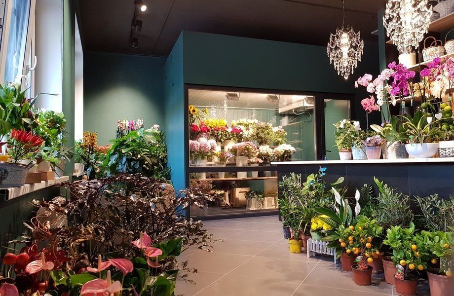 Магазин цветов на севере Приморского района/ прибыль от 50 тыс.р