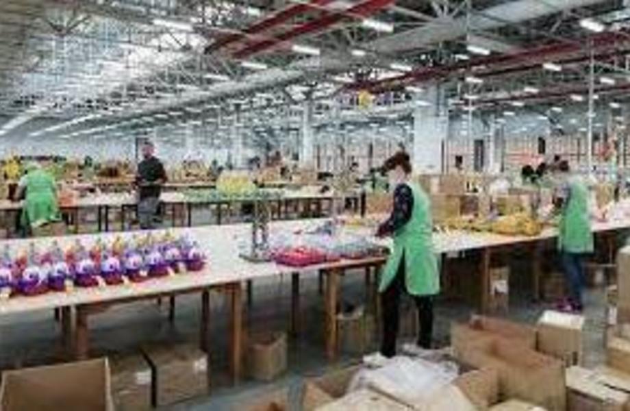 Завод по производству игрушек/пластиковых изделий
